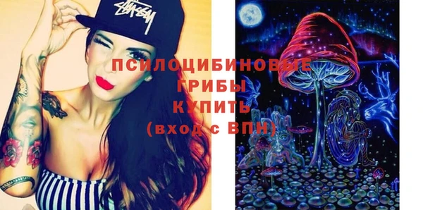 молекула духа Алзамай