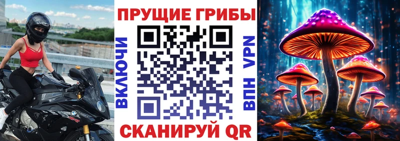 blacksprut онион  Тюкалинск  Псилоцибиновые грибы Magic Shrooms  наркошоп 