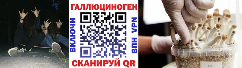 Галлюциногенные грибы прущие грибы Тюкалинск