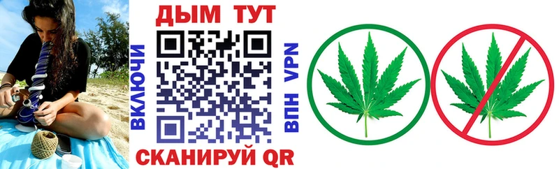 где продают наркотики  Тюкалинск  Канабис Amnesia 